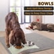 thumbnail image 5 of Cuencos dobles para perros y gatos, cuencos para mascotas de acero inoxidable, alimentador de agua para comida, gatos, perros pequeños, 5 of 8