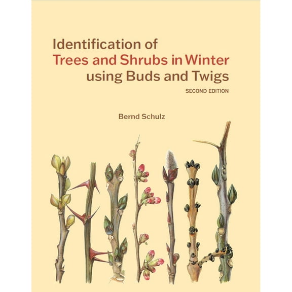 Identification of Trees & Shrubs in Winter Using Buds and Twigs, Second Edition, (Hardcover)
