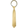 thumbnail image 1 of Spring Notion Boys Satin Zipper Necktie, Optional Gift Box, 1 of 6
