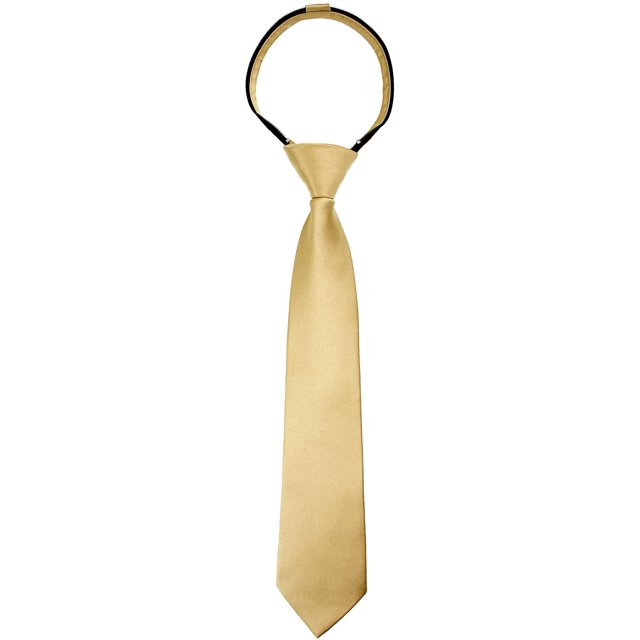 Spring Notion Boys Satin Zipper Necktie, Optional Gift Box