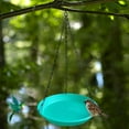 thumbnail image 1 of Colaxi Bird Feeder Birdbath Outdoor Weather Resistance Hanging Backyard Birdbath Hummingbird Feeding for Backyard Gift Trees Balcony Green, 1 of 8