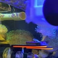 thumbnail image 6 of ZPAQI Coral Holder Acrylic 1/3 Holes Cover Clip Aquarium Fish for Tank Support Holder, 6 of 21
