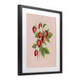 thumbnail image 2 of Stupell Industries French Country Cottage Garden Strawberries Black Framed Print Under Glass, 13 x 16, by Diane Neukirch, 2 of 8