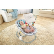 Fisher Price- Newborn-to-toddler Apptivi
