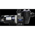 thumbnail image 1 of Waterco 241100A 1 HP, 115 & 230V Supatuf Pump, 1 of 1