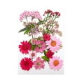 thumbnail image 1 of Flores prensadas secas Strade Fareast Limited paquete de flores artesanales, 1 of 8