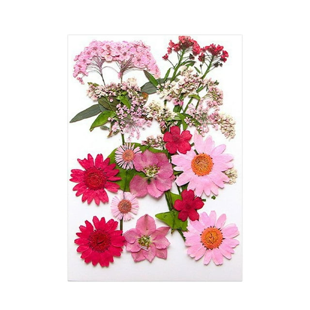 Flores prensadas secas Strade Fareast Limited paquete de flores artesanales