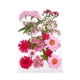 thumbnail image 2 of flores secas prensadas,flores secas prensadas hojas manualidades artesanales,resina vela fabricación de jabón arte de uñas flores secas,flores epoxi prensadas naturales kits de flores de, 2 of 10