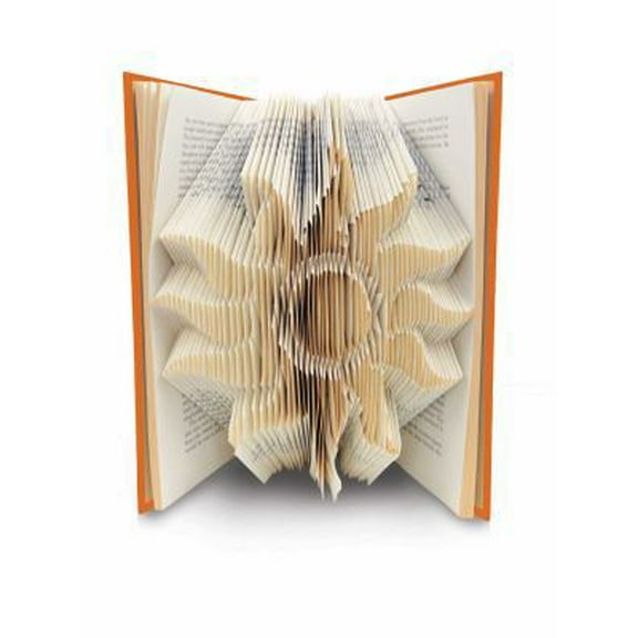 Pre-Owned ArtFolds: Sun: Treasure Island & Other Adventures (5) (ArtFolds Classic Editions) (Hardcover) 0794433359 9780794433352