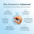 thumbnail image 4 of WONDERCOW Colostrum Capsules Supplement for Gut Health, Immune Support, Muscle Recovery & Wellness | Natural IgG Pure Whole Bovine Colostrum Superfood, Unflavored, 30 Servings, 4 of 9