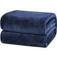 thumbnail image 1 of Unique Bargains Flannel Fleece Throw Twin Queen King Blanket Soft Sofa Blankets Fuzzy Plush Lightweight Blanket for Couch Sofa Traveling, 1 of 10