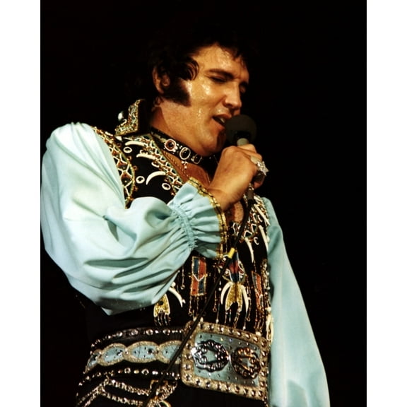 Elvis Presley History (24 x 36)