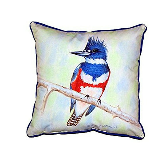 Kingfisher Large Indoor/Outdoor Pillow 18x18