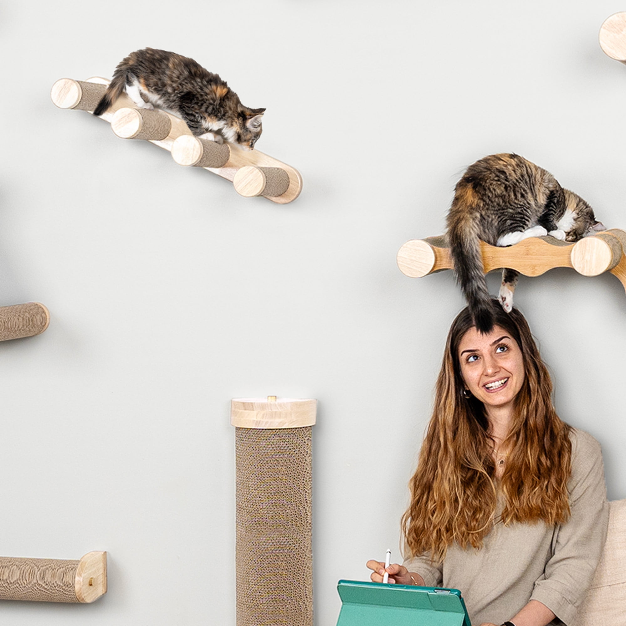 Ascentials by FurHaven Cloud Climber Cat Stairs (24”), Wall-Mounted Four Step Stairway and Perch with Corrugated Cardboard