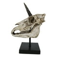 thumbnail image 5 of Rare Fossil Unicorn Skull With Sacred Horn Skull Figurine On Museum Pole Mount, 5 of 9