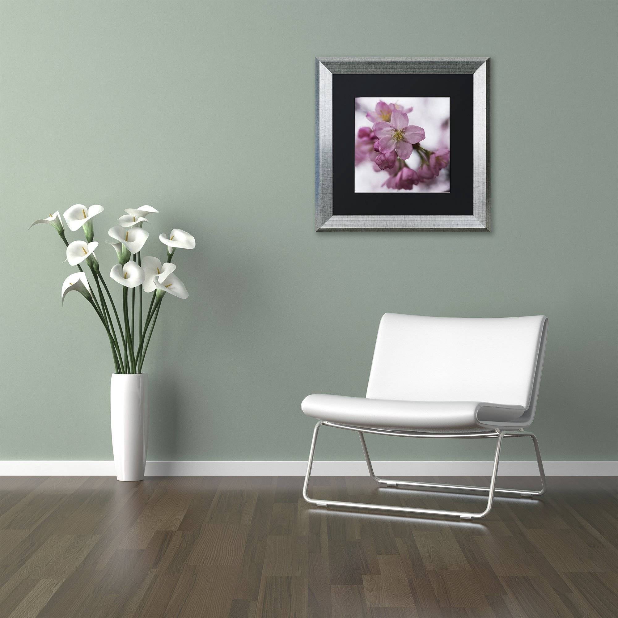 Trademark Fine Art "Cherry Pink" Canvas Art by Kurt Shaffer, Black Matte, Silver Frame