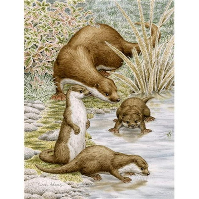 Carolines Treasures ASA2075CHF Otter Drapeau Familial Toile Taille Maison