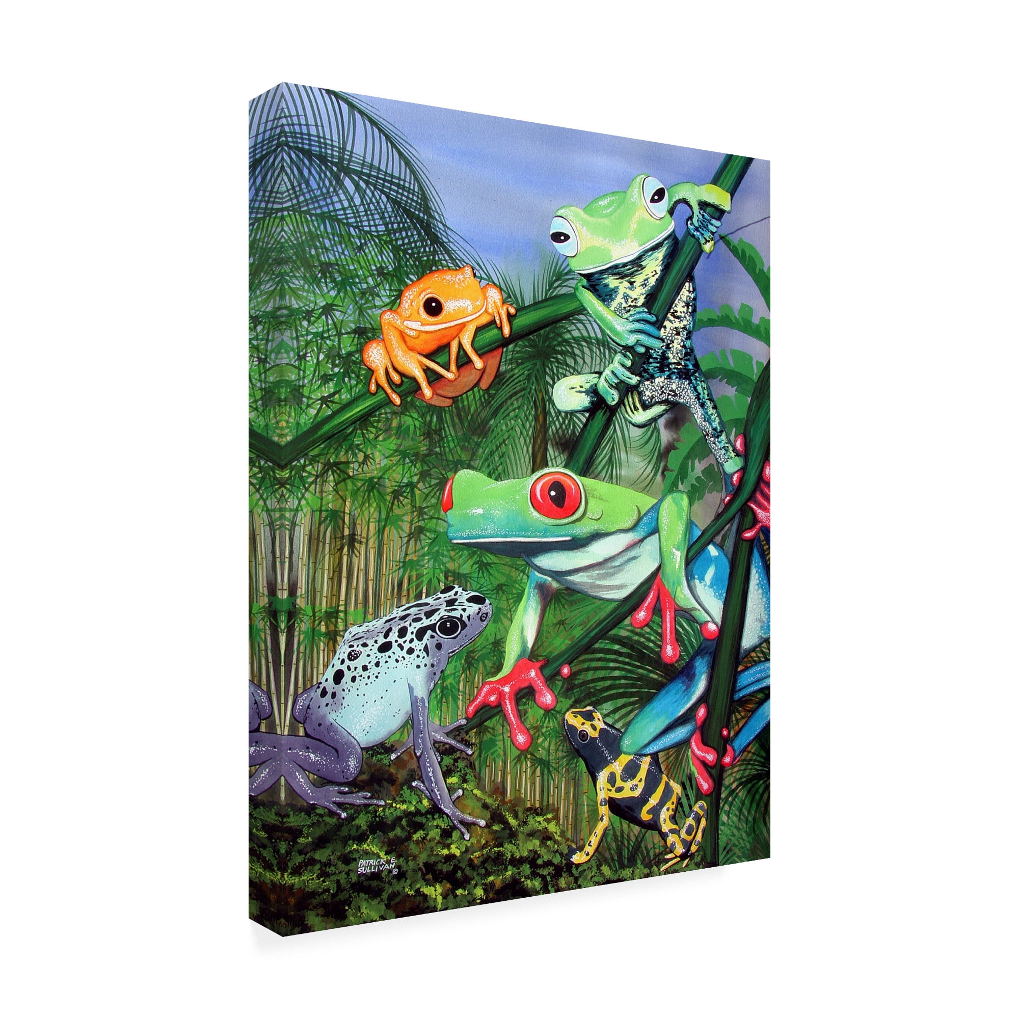 Trademark Fine Art 'Tree Frogs' Canvas Art by Patrick Sullivan