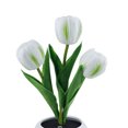 thumbnail image 2 of Lámpara de mesa de tulipán LED Luz de escritorio de cabecera segura para decoración de cafetería (B) Ehuebsd Para estrenar, 2 of 8