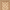 Ivory, variant on SAFAVIEH Lyndhurst Mason Floral Border Area Rug, Red, 8' x 11'