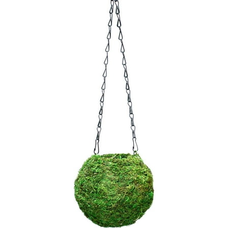 Kokedama Planter, 6", Fresh Green