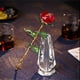 thumbnail image 4 of Figuras de artesanía de cristal, decoración, regalo de cristal con jarrón, maravilloso bricolaje para el hogar. rojo, 4 of 9
