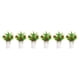 thumbnail image 2 of Centros de limón falsos Bearachild 2 piezas fáciles de limpiar amplia aplicación interior o exterior manzanas pequeñas, 2 of 6