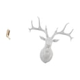 View all media