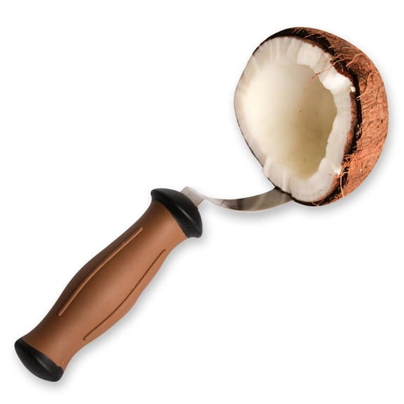 Harold Imports The Coconut Tool