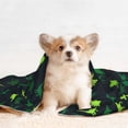 thumbnail image 4 of Pofeuu Dinosaurs Print Puppy Blanket,Dog Blankets,Pet Blanket Cozy Cat Blankets for Indoor Cats, Fuzzy Pet Blanket for Kitten Doggy Dog Blankets-Small, 4 of 8