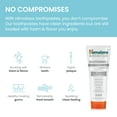 thumbnail image 5 of Himalaya Botanique Whitening + Hydroxyapatite Toothpaste, Mint Flavor, 10% Nano Hydroxyapatite, 3 oz, 5 of 7