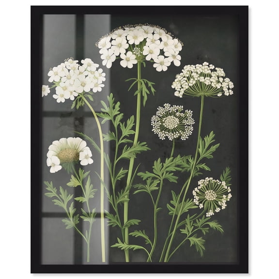 Wildflower Umbel II Shadowbox Print Farmhouse Art by Art Remedy, Black Frame, 16 x 20