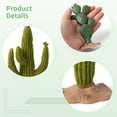 thumbnail image 3 of 3 PCS Realistic Artificial Cactus Plants, 5.5 Inches Desert Succulent Decorations with Sand Base, Lifelike Green Faux Cactus Collection for Home Office Table Decor, Maintenance-Free Indoor Plants, 3 of 5