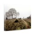 thumbnail image 2 of Tangletown Fine Art 'Oak Tree - 25' Photographic Print on Wrapped Canvas, 2 of 2