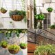 thumbnail image 5 of Cadena de cesta colgante de flores, 3 juegos de colgadores de plantas Cadenas de metal con clips para macetas, jardineras, jaulas de pájaros, linternas Adepaton LN-0940, 5 of 8
