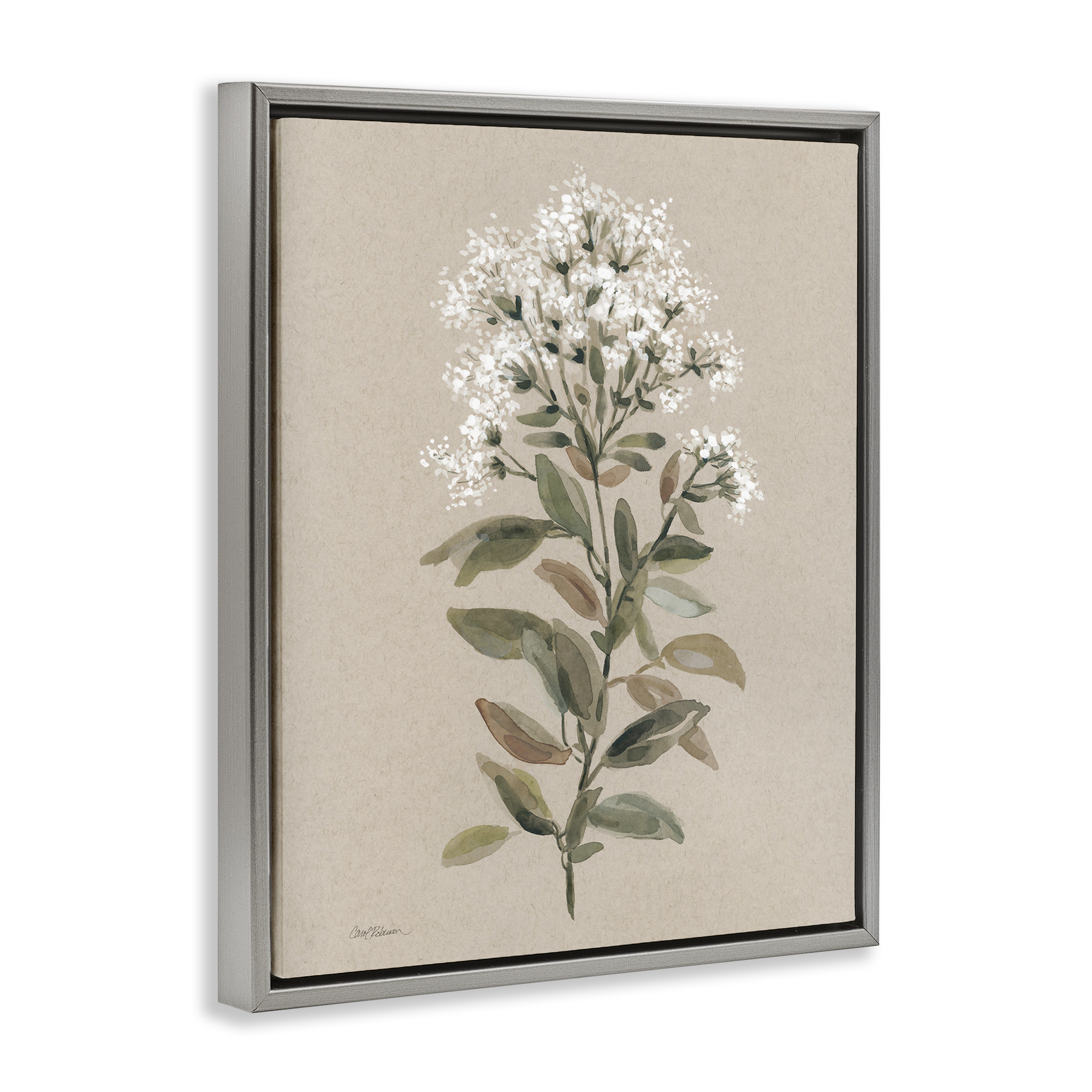 Stupell Industries Blooming Watercolor Flower Botanical & Floral Painting Gray Floater Framed Art Print Wall Art, 25 x 31