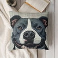 thumbnail image 3 of Sofa Pillow Case, Decorative Throw Pillow Cushion Cover for Home Office - Cute Smiling Blue Dog, 3 of 5