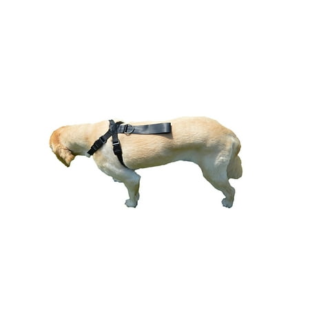 - Premium Pet Dog Harness and Safety Seatbelt Car Restraint, Color Black, Suitable for Small Dogs, By Downtown Pet Supply