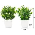 thumbnail image 2 of Mini plantas artificiales en maceta, plantas de hojas de eucalipto de plástico falso para el hogar, oficina, escritorio, habitación, decoración verde, paquete de 2 Namotu CZJJ-HQ89, 2 of 6
