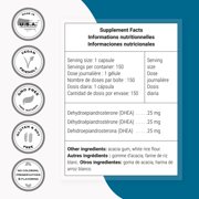 SuperSmart - DHEA 25mg - DHEA Supplement for Men & Women | Non-GMO & Gluten Free - 150 Vegetarian Capsules