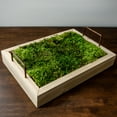 thumbnail image 7 of Vickerman 1.1 Lbs Bag of Green Sheet Moss, Preserved, 7 of 7