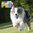 thumbnail image 4 of Pelota Fetch Curvy Fancy Pets FL9435 Color Azul Con Sonido Para Perro, 4 of 4