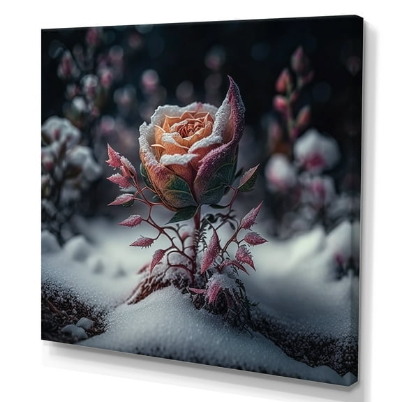 Designart A Blooming Pink Rose Flower In Winter II Canvas Wall Art