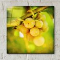 thumbnail image 4 of Epic Art 'Spring Fruit' by Jessica Rogers, Acrylic Glass Wall Art, 12"x12", 4 of 8