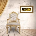 thumbnail image 3 of Hausenflock, Alan 32x13 Gold Ornate Wood Framed with Double Matting Museum Art Print Titled - Forest Floor I, 3 of 4