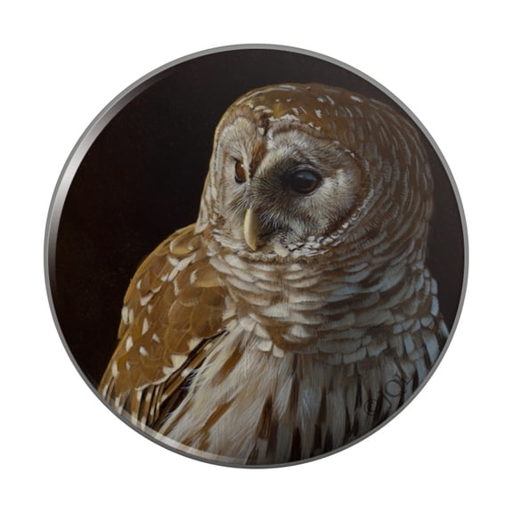 Barred Owl on Tree Branch Pinback Button Pin