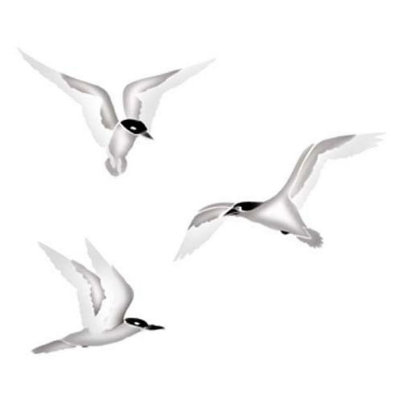 Sea Gulls Wall Stencil SKU #2611 by Designer Stencils