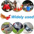 thumbnail image 5 of 4 bebederos para pollos y 120 bebederos automáticos para gallinas, aptos para aves, aves de corral, palomas, pollos y patos., 5 of 5