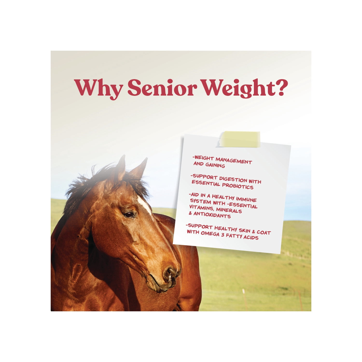 Manna Pro Weight Accelerator for Senior Horses w/Omega 3 Fatty Acids 8lbs.