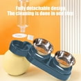 thumbnail image 5 of 3 in 1 Cat Bowl, Cat Food and Water Bowl Set with Water Dispenser and Stainless Steel Bowls, 15° Tilted Pet Raised Three Bowls for Indoor Cats, Small or Medium Sized Dogs, Cat Bowls Elevated, 5 of 6
